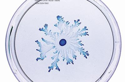 3D Printing and Additive Manufacturing, Vol. 3, No. 4, 2016