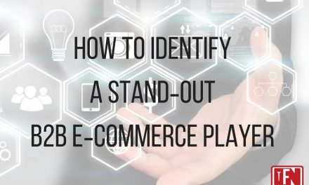 How to Identify a Stand‑Out B2B E‑commerce Player